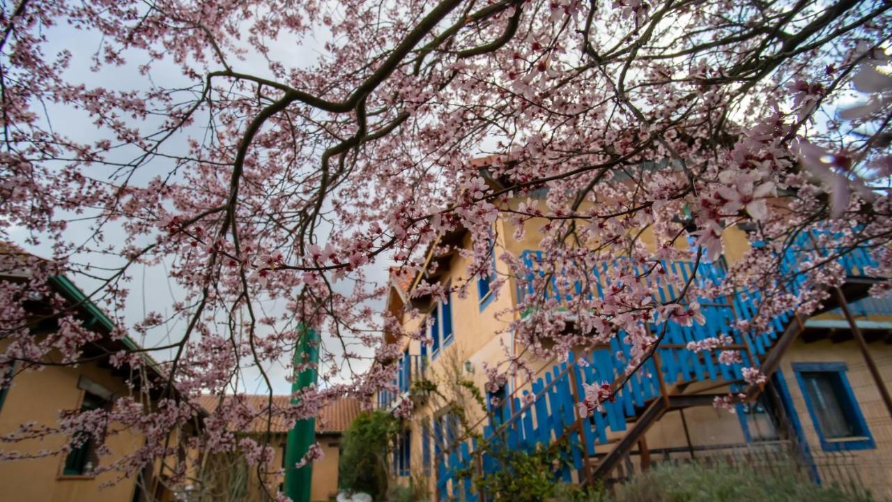Albergue De Peregrinos Casa Flor Murias de Rechivaldo Exterior photo